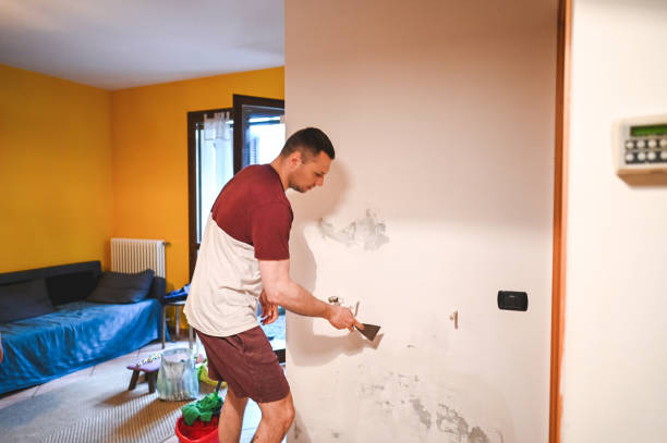 Best Mold Testing and Removal  in Louisville, GA