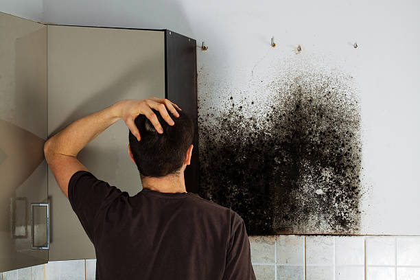 Best Fast Mold Removal  in Louisville, GA